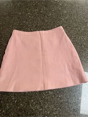 Dancing Leopard Blush Pink Faux Leather Mini Skirt Floral Lined 10 Zip School